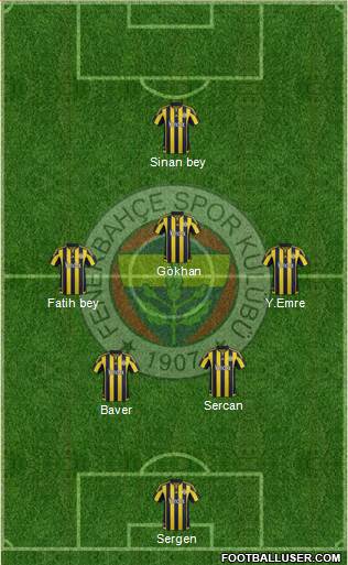 Fenerbahçe SK Formation 2015