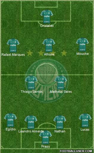 SE Palmeiras Formation 2015