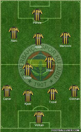 Fenerbahçe SK Formation 2015