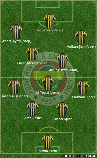 Fenerbahçe SK Formation 2015