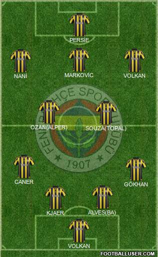 Fenerbahçe SK Formation 2015
