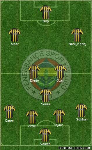 Fenerbahçe SK Formation 2015