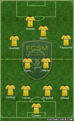 FC Sochaux-Montbéliard Formation 2015