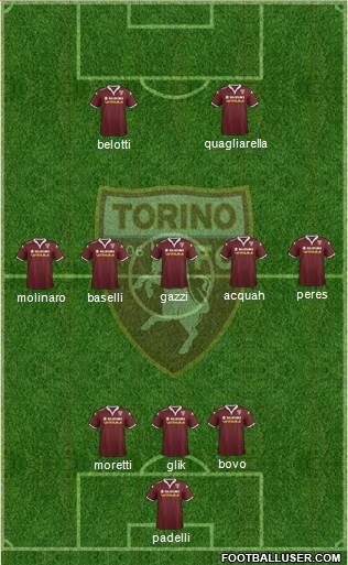 Torino Formation 2015