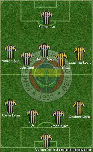 Fenerbahçe SK Formation 2015