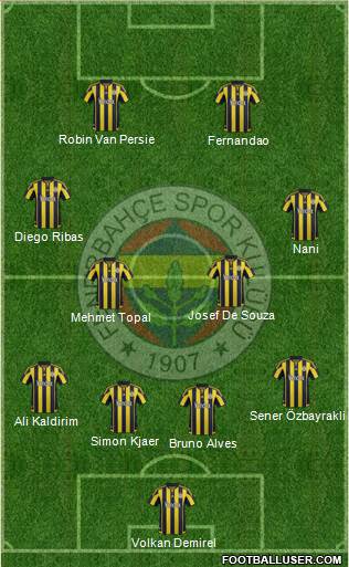 Fenerbahçe SK Formation 2015
