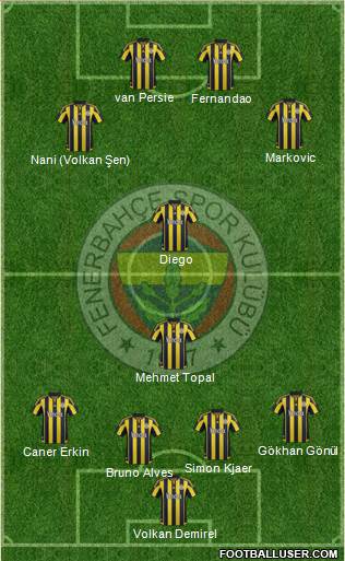 Fenerbahçe SK Formation 2015