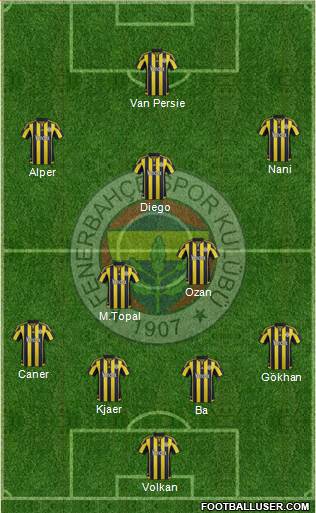 Fenerbahçe SK Formation 2015