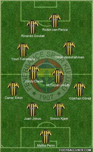 Fenerbahçe SK Formation 2015