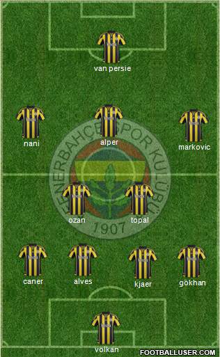Fenerbahçe SK Formation 2015