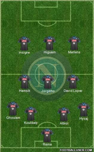 Napoli Formation 2015