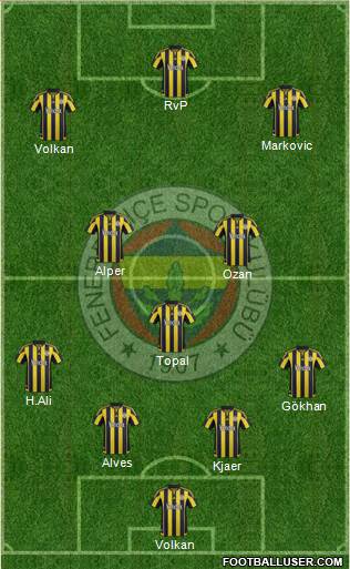 Fenerbahçe SK Formation 2015