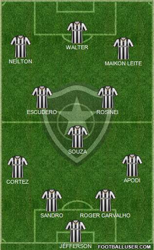 Botafogo FR Formation 2015