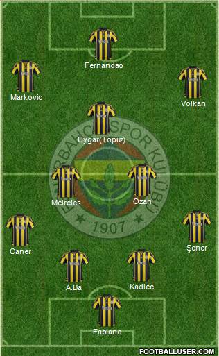 Fenerbahçe SK Formation 2015