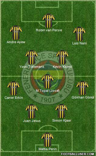 Fenerbahçe SK Formation 2015