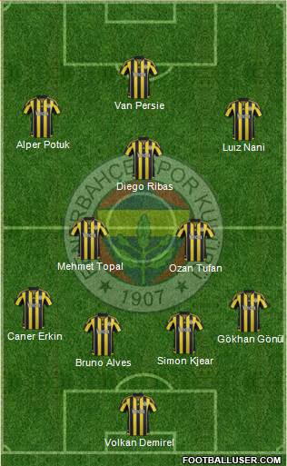 Fenerbahçe SK Formation 2015