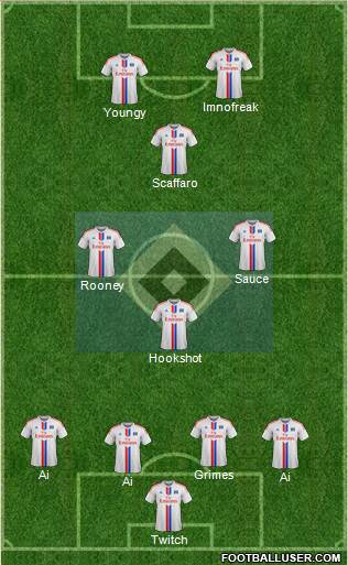 Hamburger SV Formation 2015
