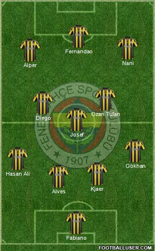 Fenerbahçe SK Formation 2015