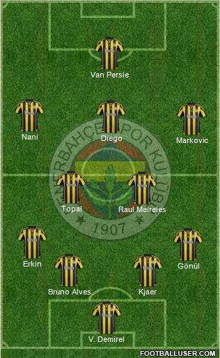 Fenerbahçe SK Formation 2015