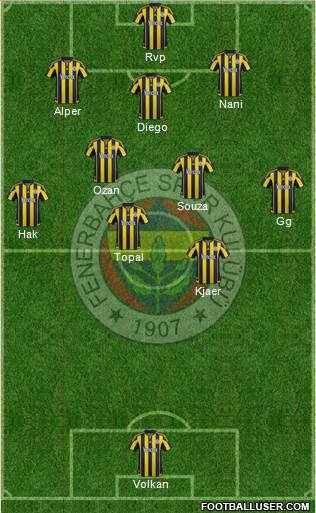 Fenerbahçe SK Formation 2015