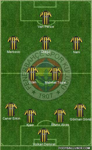 Fenerbahçe SK Formation 2015