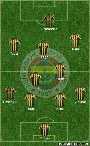 Fenerbahçe SK Formation 2015