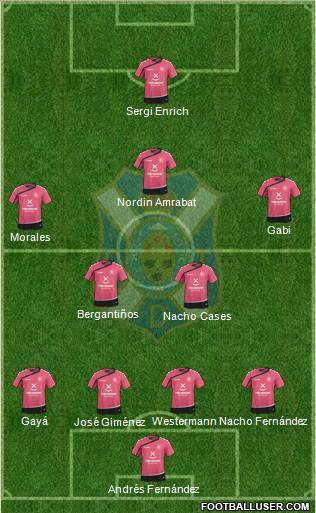 C.D. Tenerife S.A.D. Formation 2015