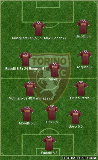 Torino Formation 2015
