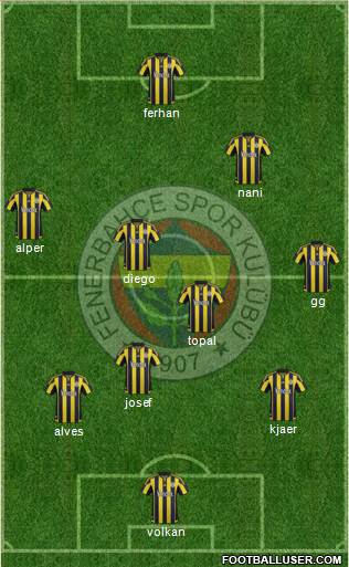 Fenerbahçe SK Formation 2015