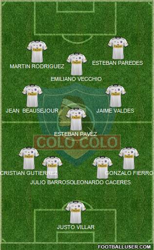 CSD Colo Colo Formation 2015