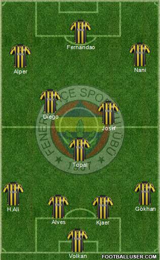 Fenerbahçe SK Formation 2015