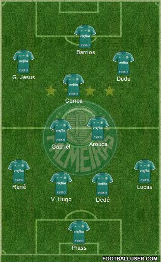 SE Palmeiras Formation 2015