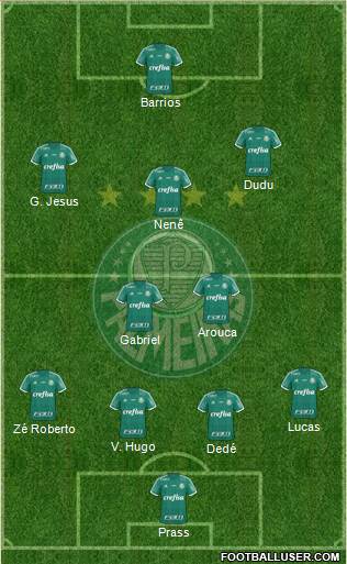 SE Palmeiras Formation 2015