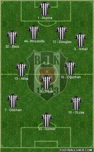 Besiktas JK Formation 2015