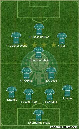 SE Palmeiras Formation 2015