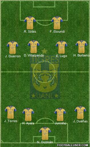 Club Universitario de Nuevo León Formation 2015