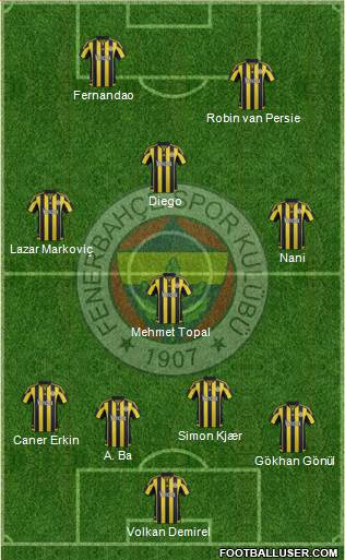 Fenerbahçe SK Formation 2015