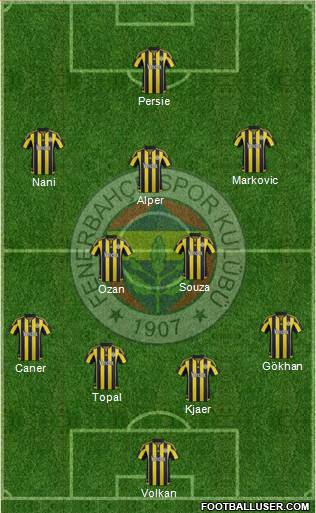 Fenerbahçe SK Formation 2015