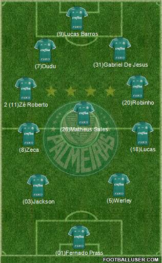 SE Palmeiras Formation 2015