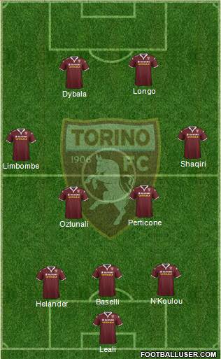 Torino Formation 2015