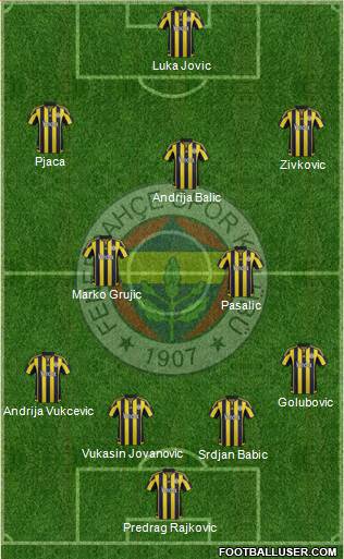 Fenerbahçe SK Formation 2015