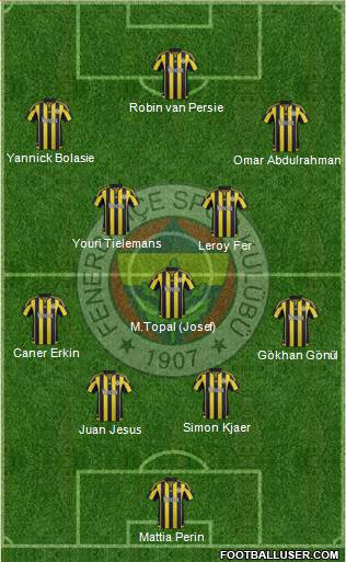 Fenerbahçe SK Formation 2015