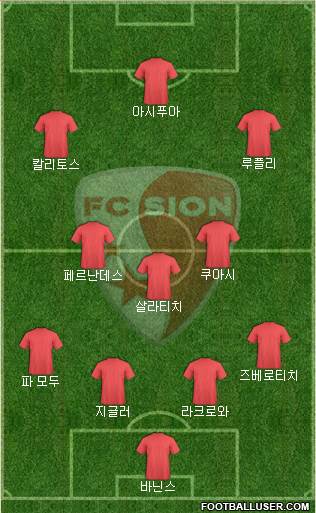 FC Sion Formation 2015