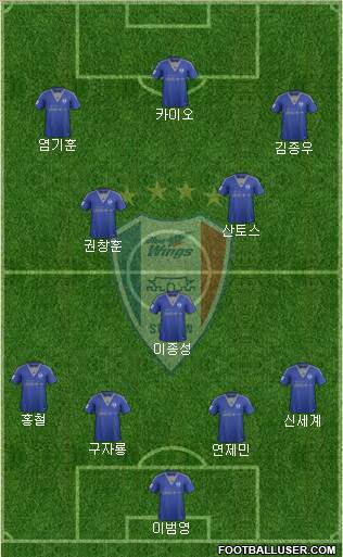 Suwon Samsung Blue Wings Formation 2015