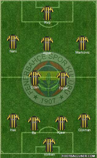 Fenerbahçe SK Formation 2015