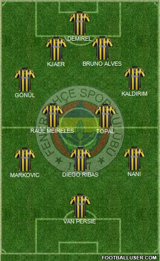 Fenerbahçe SK Formation 2015