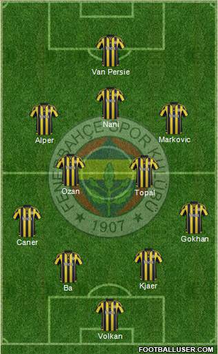 Fenerbahçe SK Formation 2015