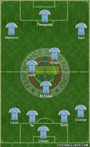 Fenerbahçe SK Formation 2015