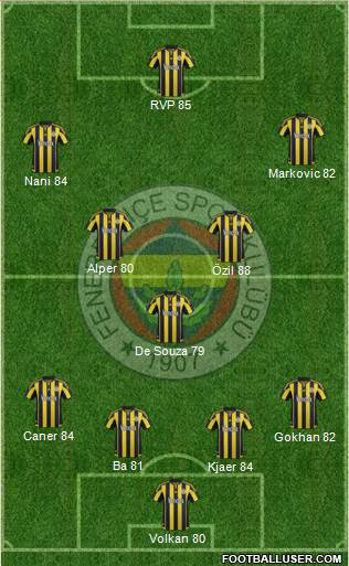 Fenerbahçe SK Formation 2015