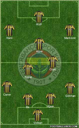 Fenerbahçe SK Formation 2015